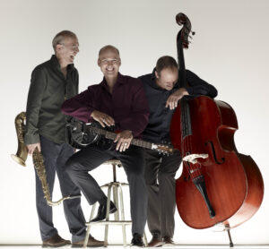 steller trio